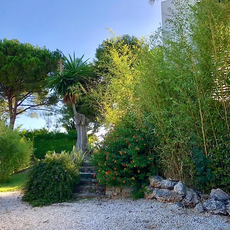 Villa Moderna En Marbella